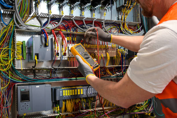 Best Electric Panel Repair  in Port Isabel, TX